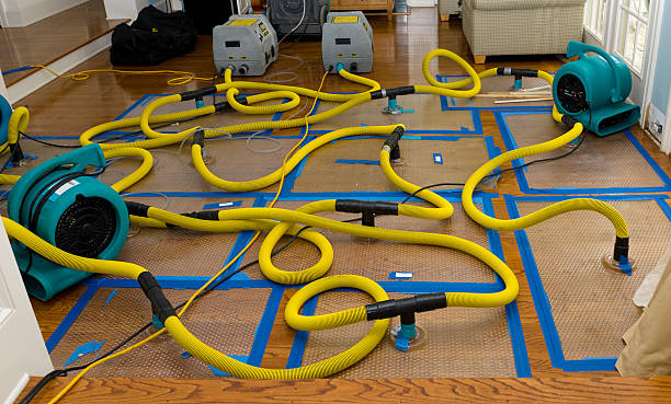 Professional Crawl Space Water Removal technician working in Bartlett, TX